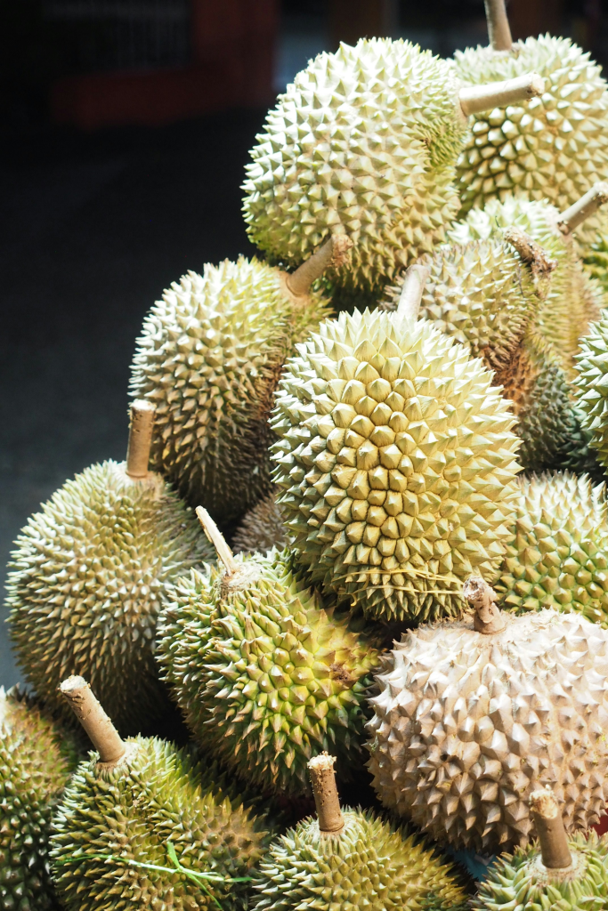 Durian fruit representing durian diplomacy between Southeast Asia and China